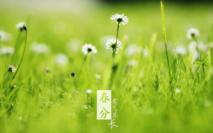 即便是春風十裏，依然不如你